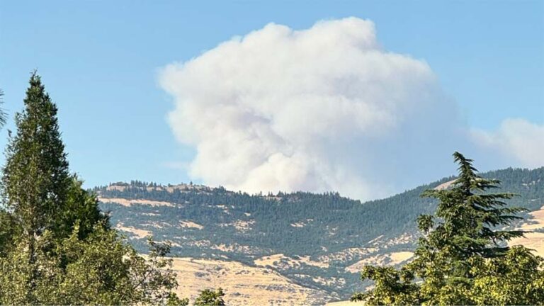 Real Estate Corner: Staying safe and insured – Ashland News