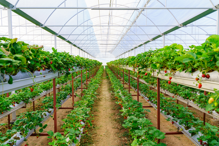 Active investing in consumer mega-trends | Cinven