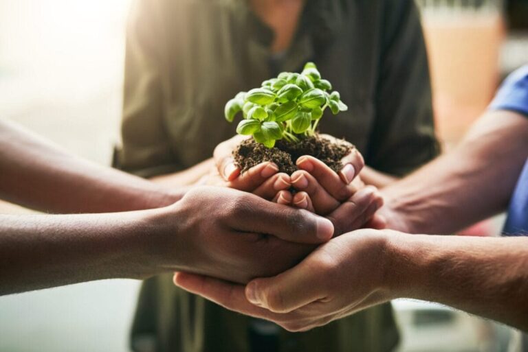 CFA Institute highlights solutions for net-zero investing: Benchmarks,