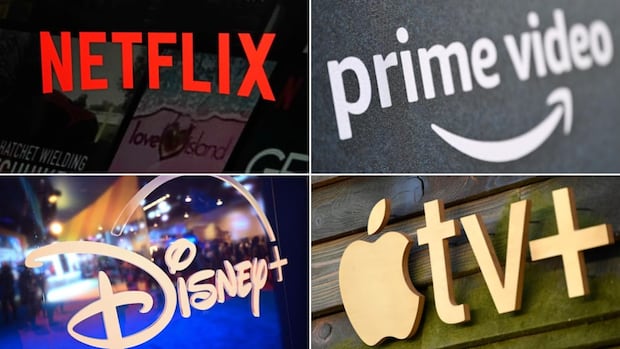 Streamers like Netflix, Disney Plus get court reprieve from paying for