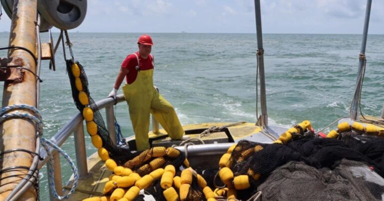 Investing in Innovation: How Louisiana’s Menhaden Industry is Leading in