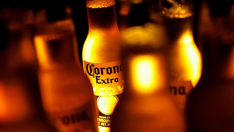 Modelo owner Constellation says Trump immigration policy hitting beer sales