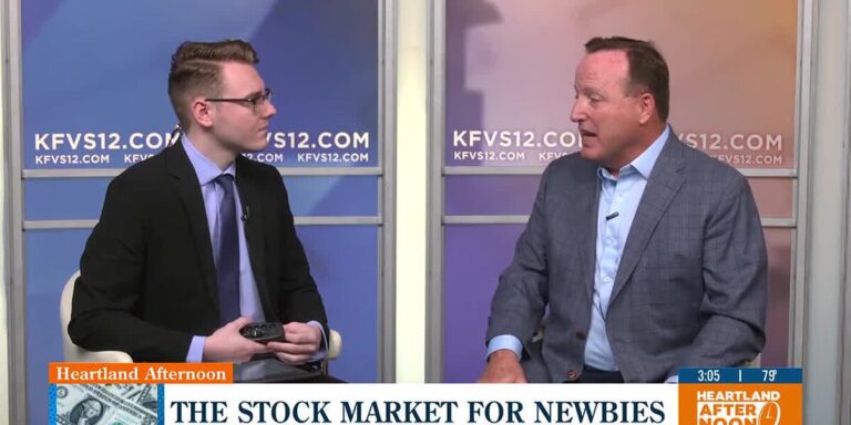 The stock market for newbies