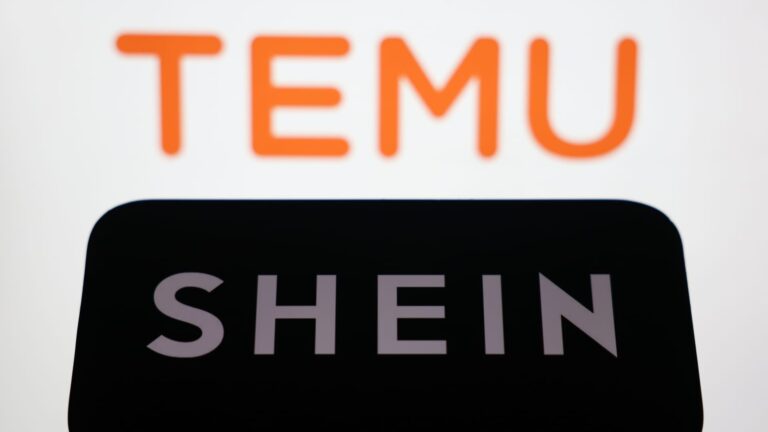 As Temu, Shein pivot to Europe, they again meet regulatory scrutiny