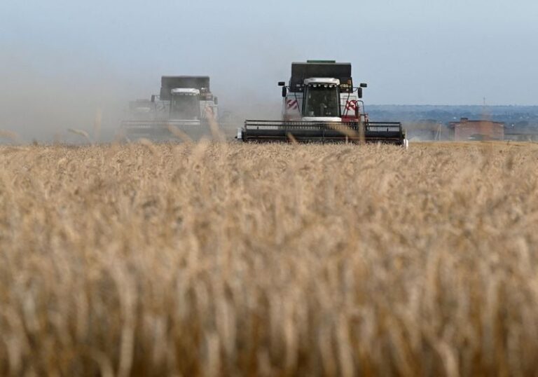 Commodities: Low prices stimulate demand for grains