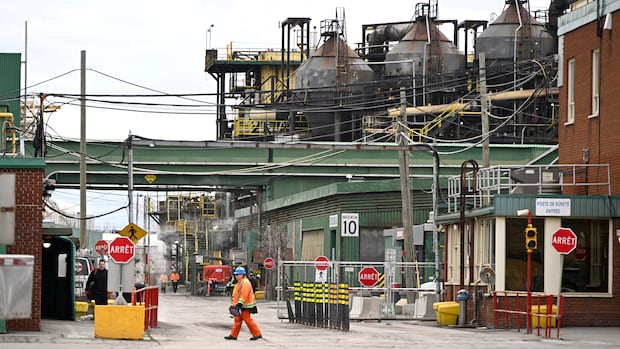 Canada’s economy shrank by 0.3% in August