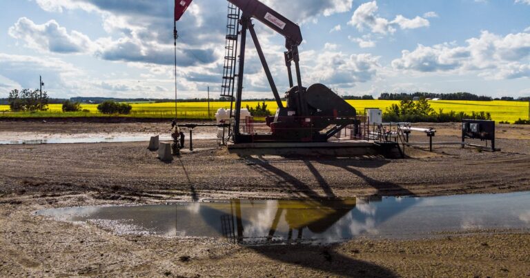 Environment group holds Calgary rally to push for more protections in