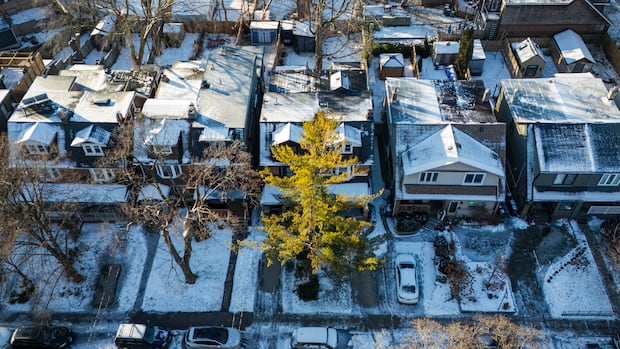 National home sales fell in November with housing activity in ‘holding