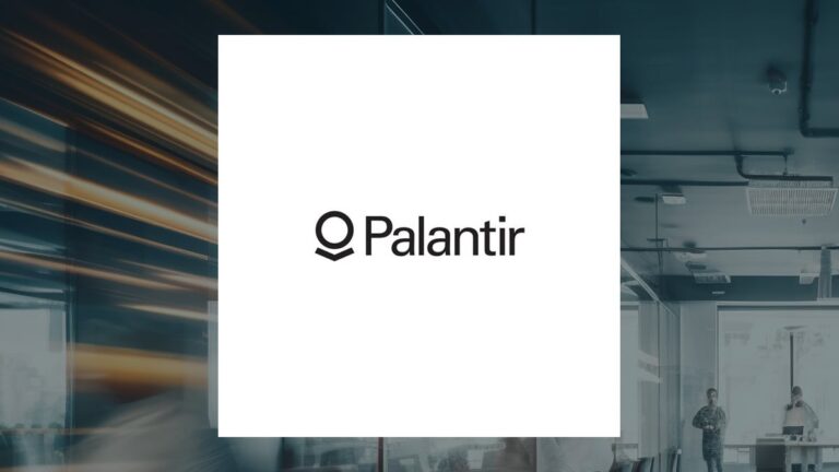 Newbridge Financial Services Group Inc. Boosts Stock Holdings in Palantir
