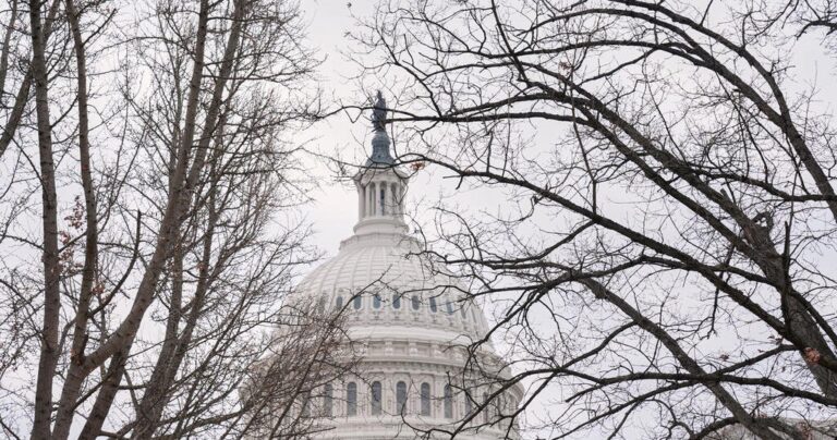 Congress debating possible consequences for ICE after Renee Good’s death