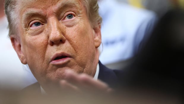Trump’s crypto businesses took in about $1.2B US last year, federal filing