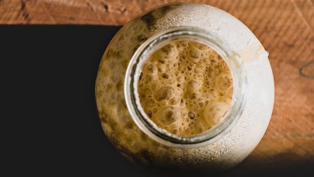 B.C. researchers turn to wild yeast in bid to help struggling craft