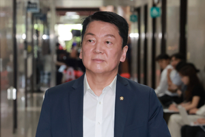 Ahn Cheol-soo likens president to invasive species of real estate