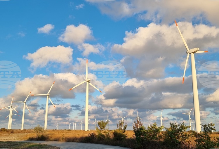 Wind Operators Warn against Excessive Environmental Restrictions on Wind
