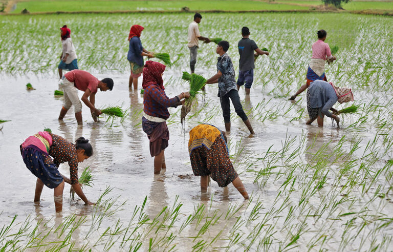 Bank lending to agriculture sector tops P3 trillion as of June
