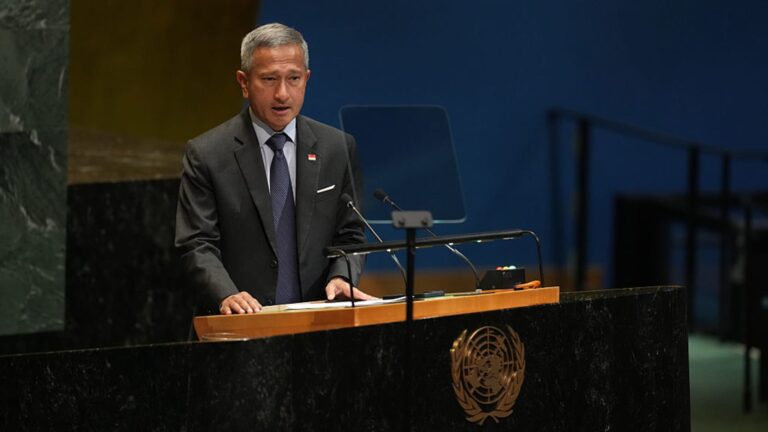 Singapore foreign minister Vivian Balakrishnan on Hormuz